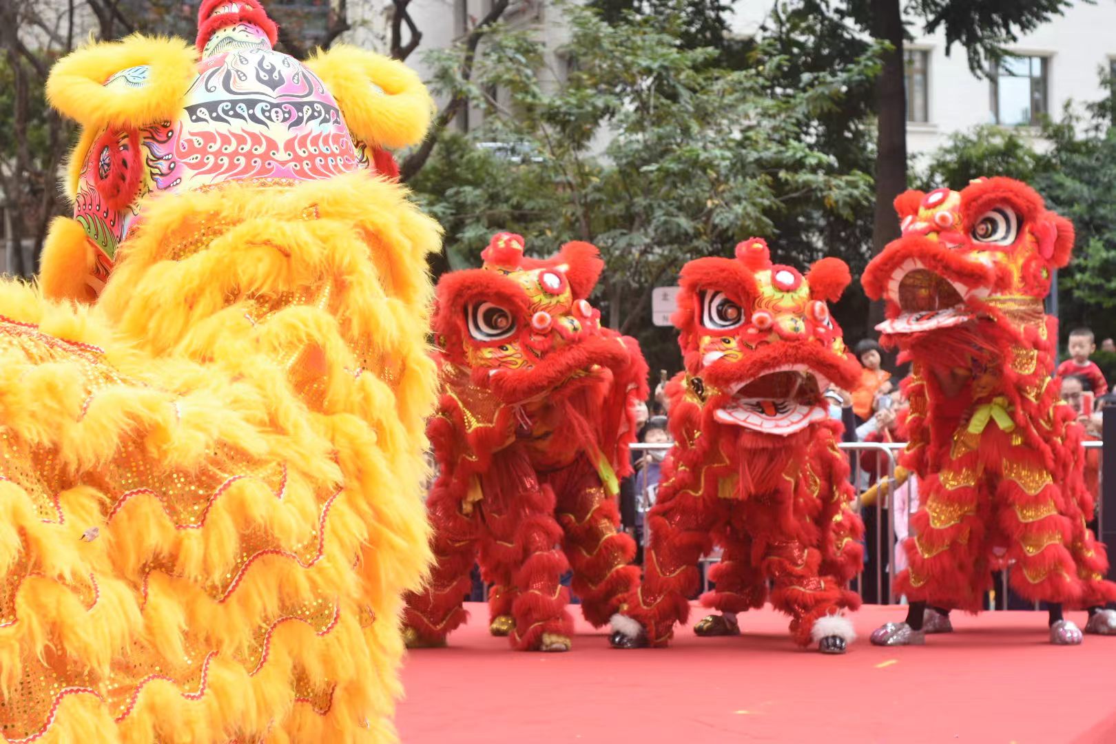 開(kāi)幕式上，舞獅表演精彩紛呈。曹歡慶攝